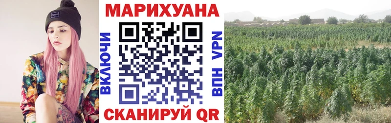 Где купить наркоту Козловка Псилоцибиновые грибы Марихуана APVP АМФЕТАМИН гидра онион ГАШИШ МЕФ